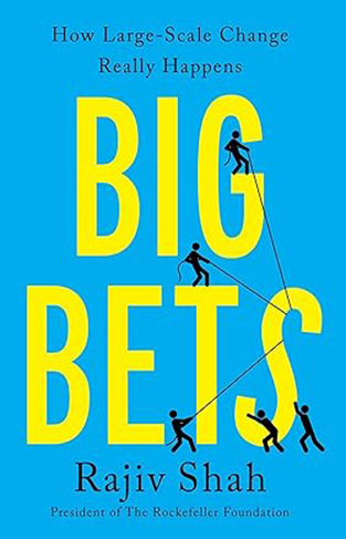 Big Bets - How Large-Scale Change Really Happens